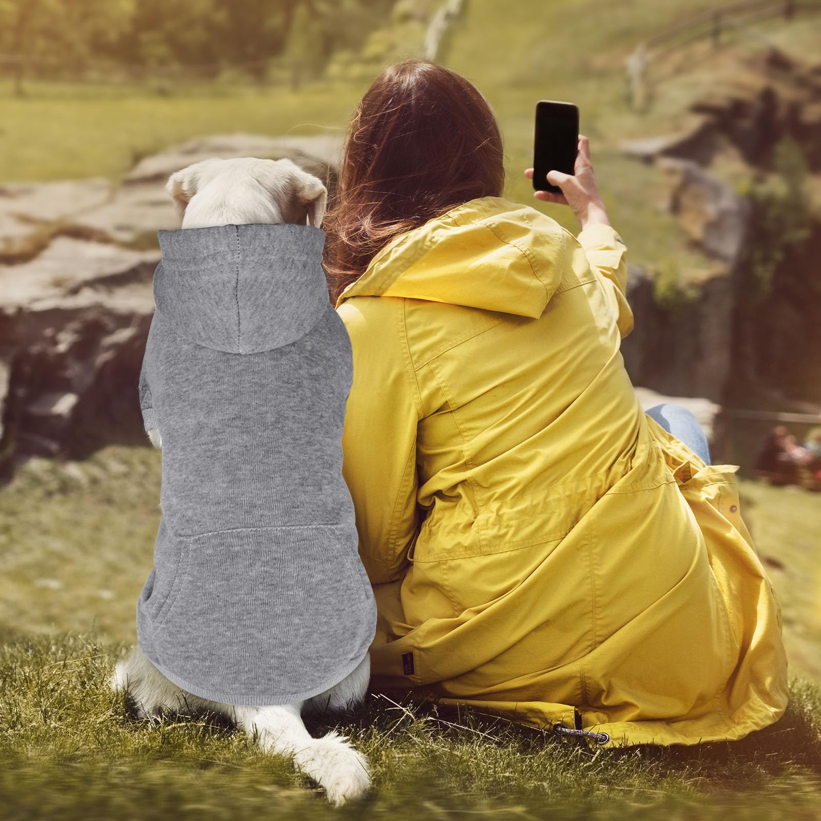 QDYU sudadera gris para perros, detalle de bolsillo para premios o juguetes.