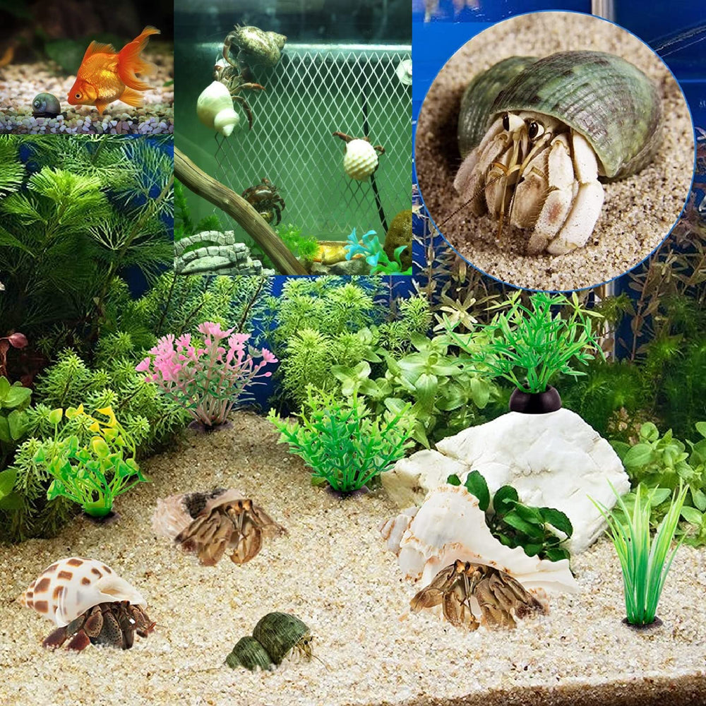 Uso decorativo marino con conchas naturales de QEQEKAKA para acuario.
