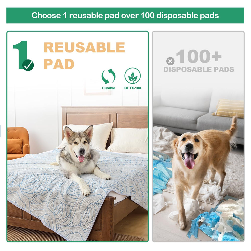 Tapetes Qeils con cuatro capas ofrecen absorción constante en uso diario.
