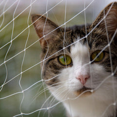 Qesonoo Kit Fijacion Balcon Mascotas: instalacion rapida y sujecion estable.