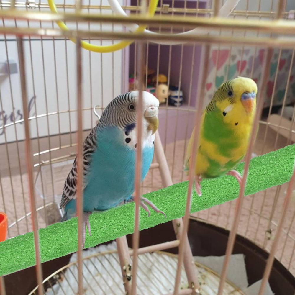 QfwdfcTrenz percha de 15 cm, adecuada para aves pequeñas y medianas.