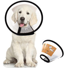 QIYADIN cone recuperation chien: protege les plaies post-operation