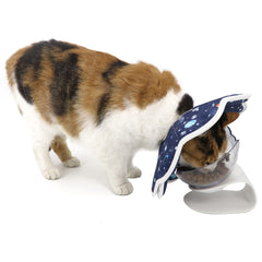 QIYADIN Soft Cat Cone post-chirurgie, soutien sûr pour la récupération.