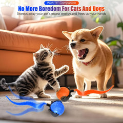 Bola para gatos de movimiento 360 grados, diseño rodante y atractivo visual para curiosos.