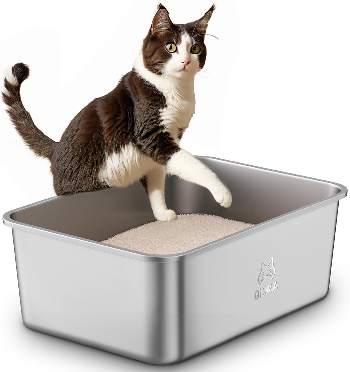 Qiuma caja de arena con espacio amplio para gatos grandes y varios felinos