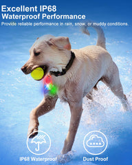 Luz multicolor del collar QIZIYARDALL para identificar perros en grupo