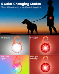 Luz blanca del collar QIZIYARDALL para paseos nocturnos seguros