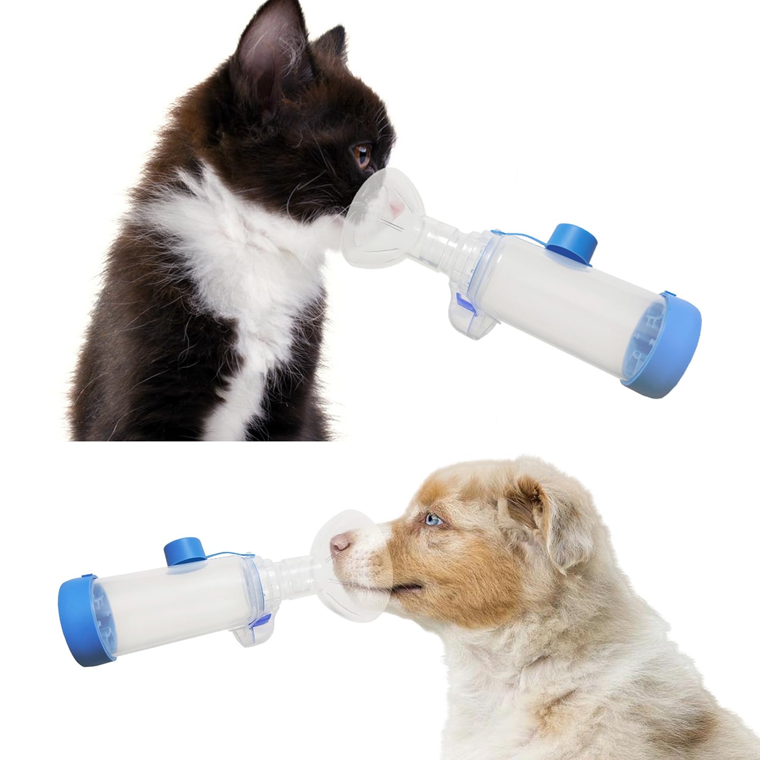 QMARK compatible con inhaladores de dosis medida en casa.