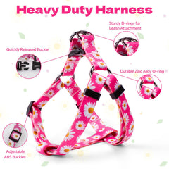 QQPETS harnais motif design pour une allure visible.