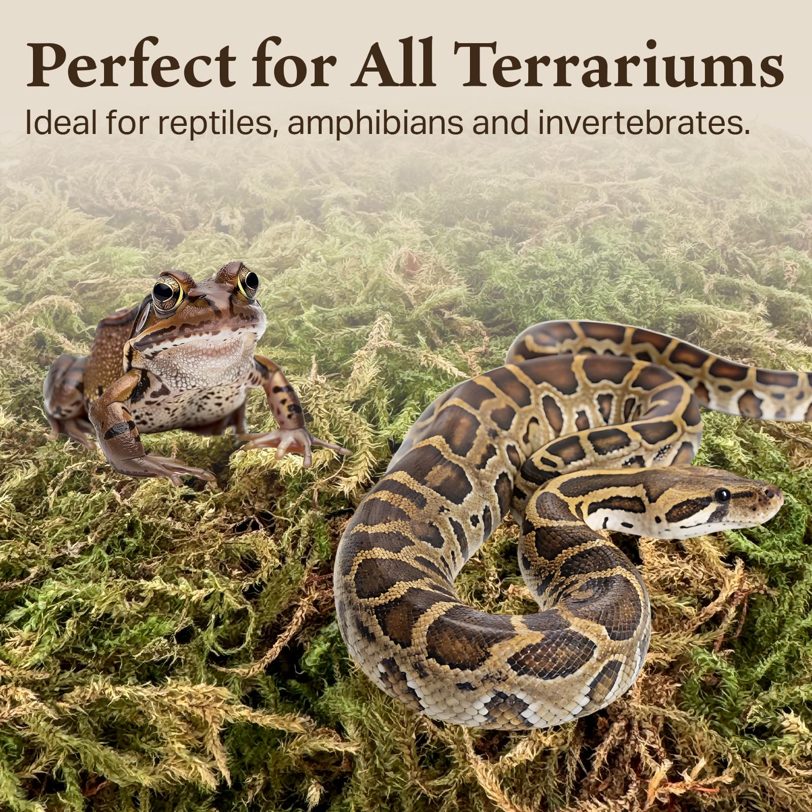 Quality Growers Habitat Life: superficie suave para exploración segura en terrario.