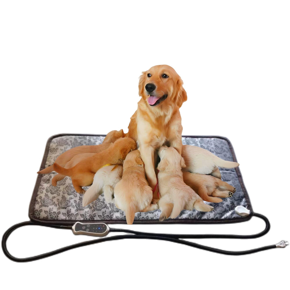 QUASILOVE almohadilla calor para cachorros nuevos con confort suave