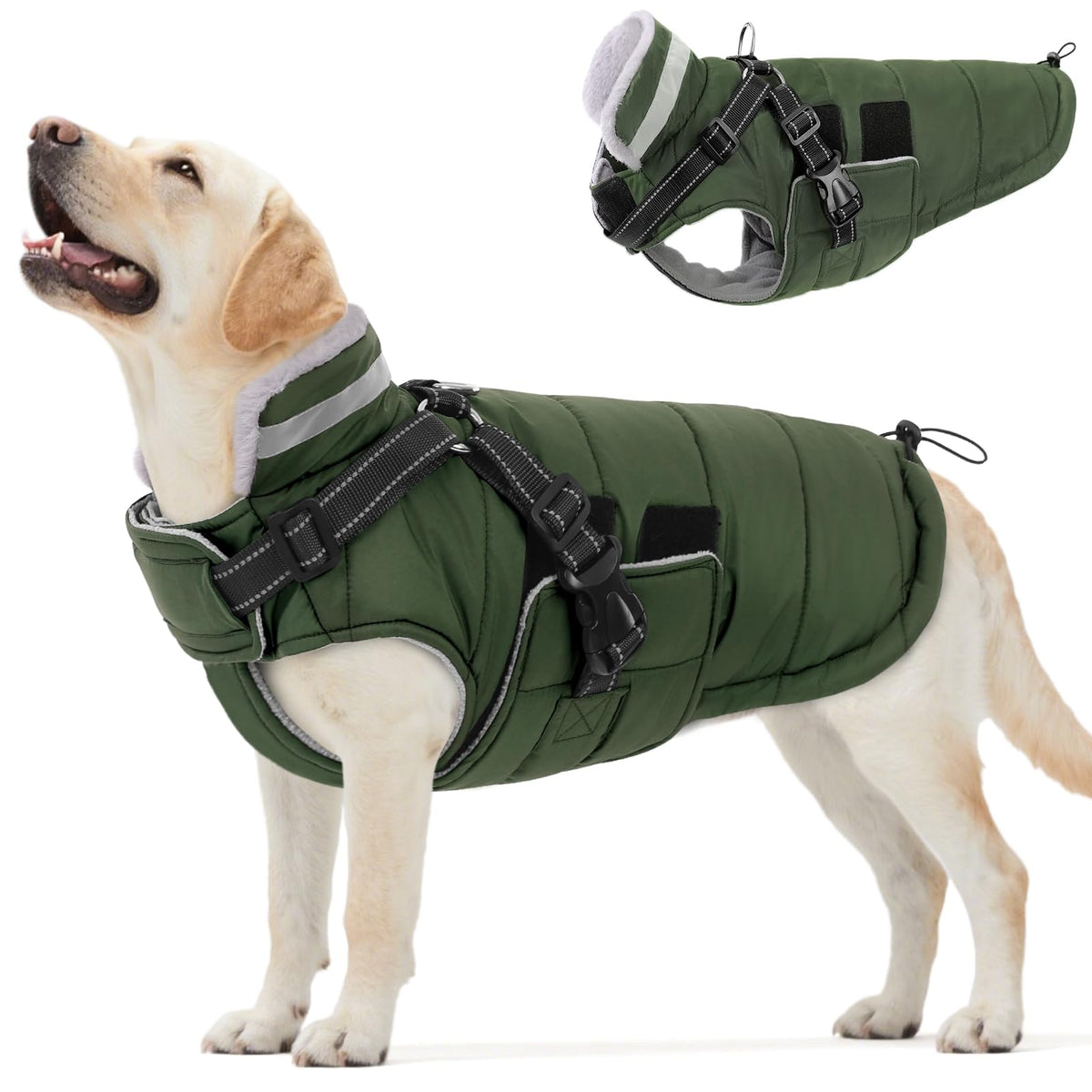 Queenmore abrigo para perro con arnés integrado, ideal para paseos seguros en invierno.
