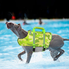 Asidero de rescate trasero Queenmore para levantar al perro