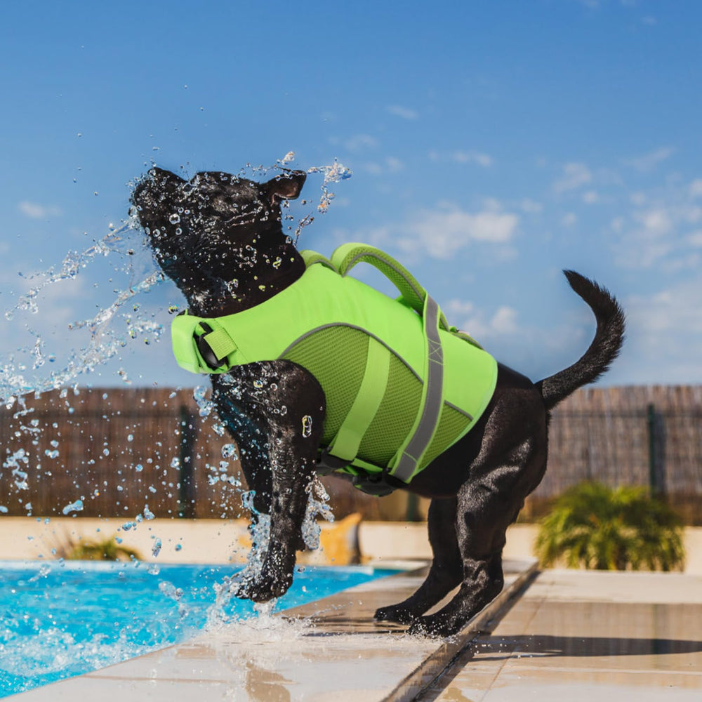 Queenmore chaleco perro con diseño de malla para mejor ventilación