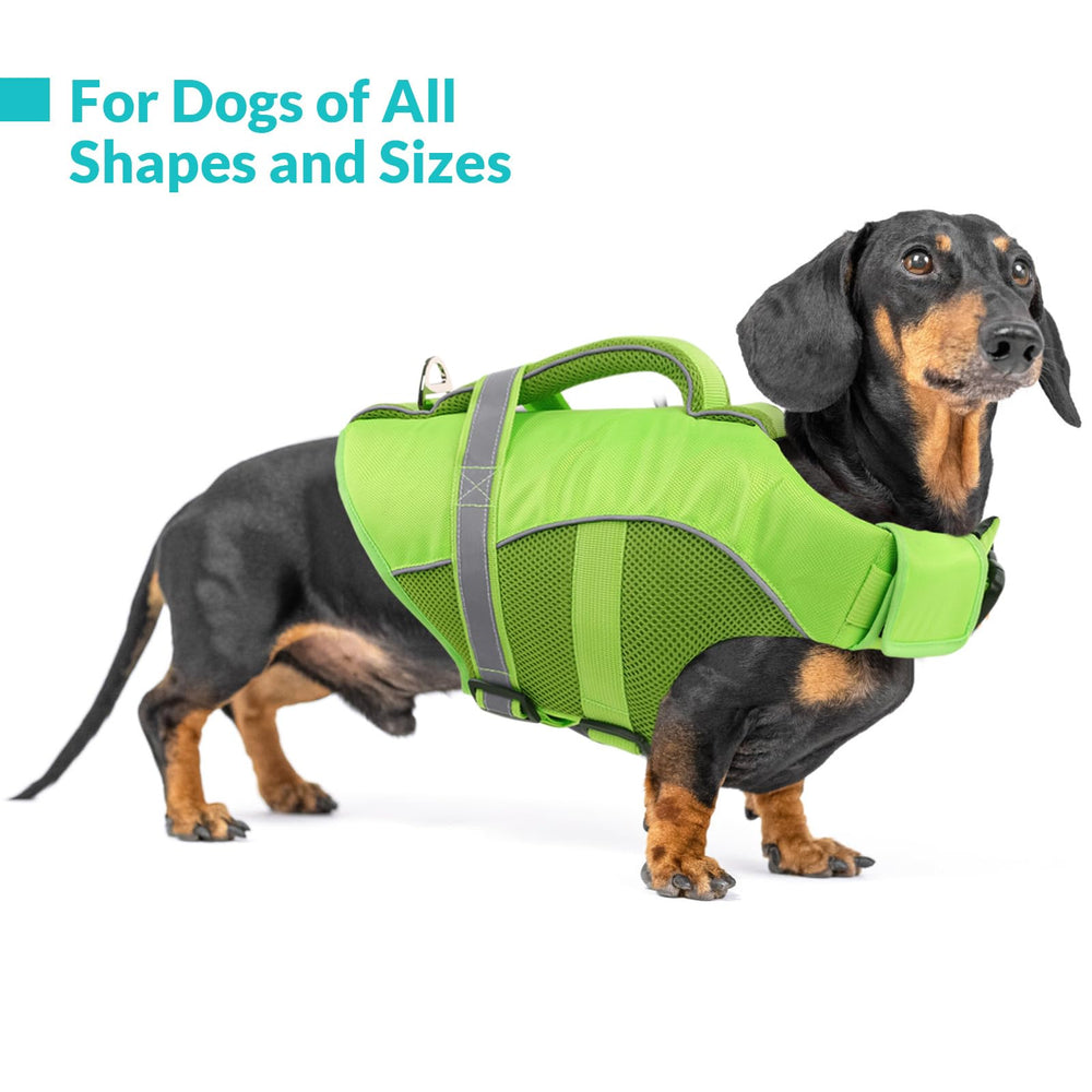 Queenmore chaleco perro con franjas reflectantes para mayor visibilidad