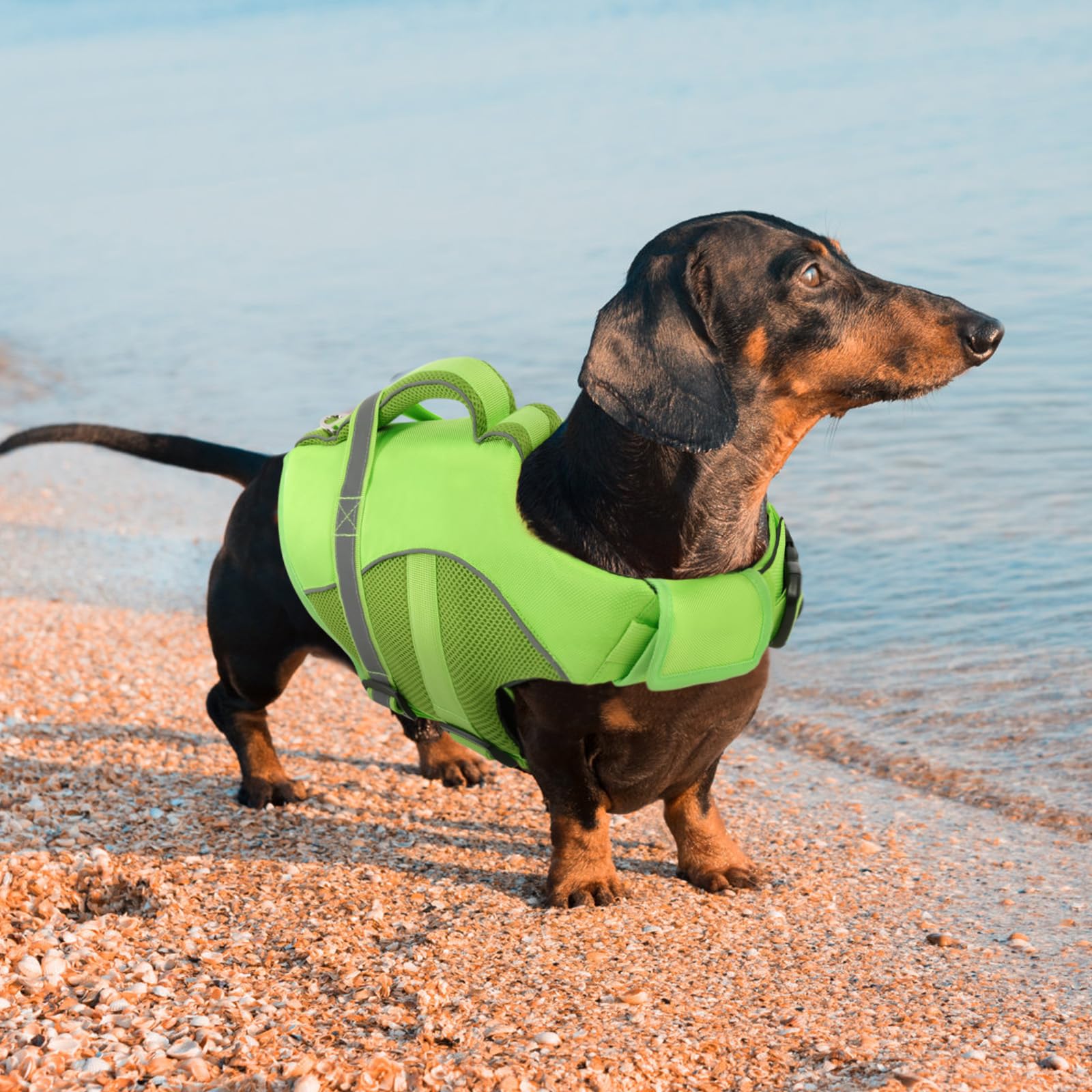 Queenmore chaleco para uso en playa y navegación, estilo y seguridad