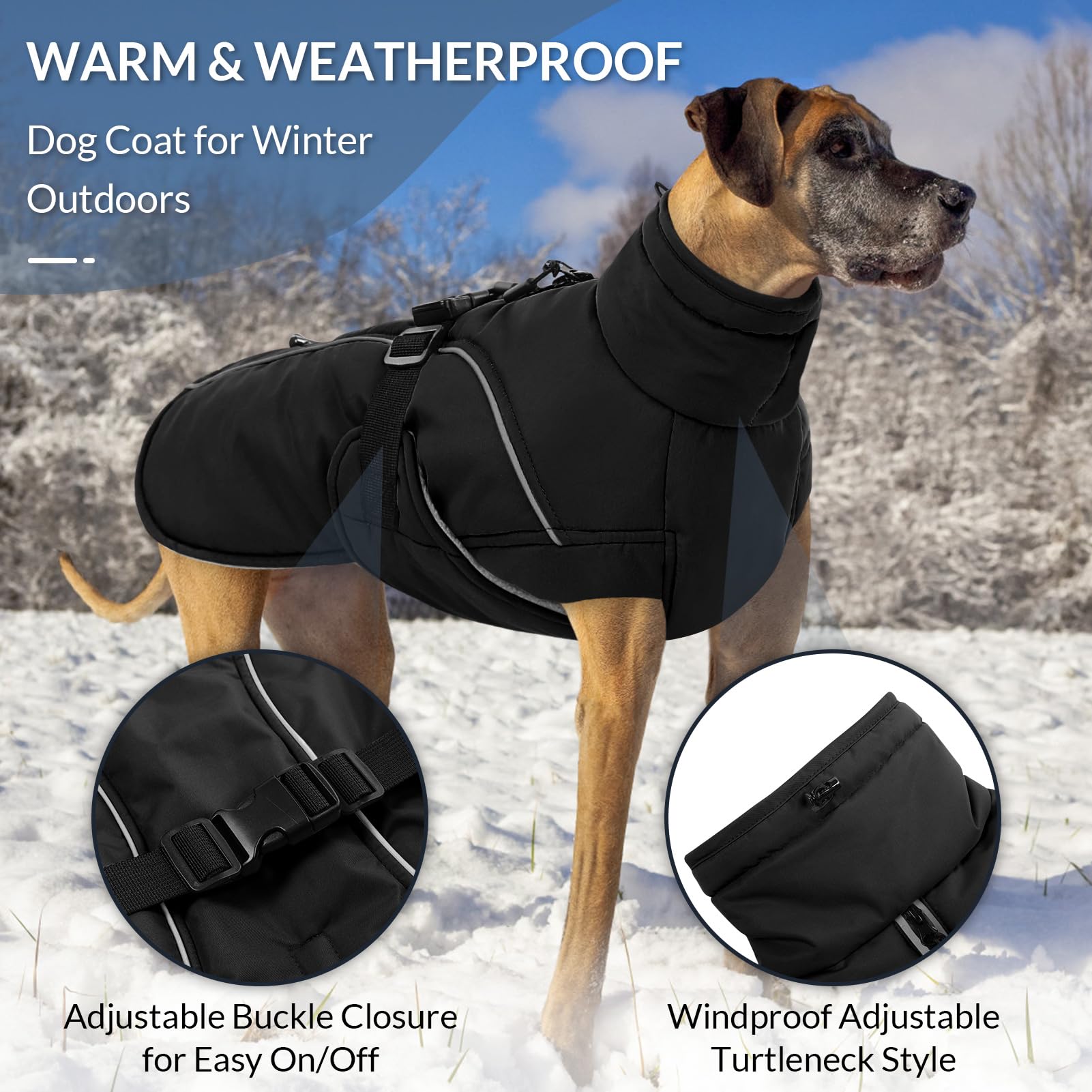 Queenmore chaqueta impermeable para perro, protege contra lluvia y viento.