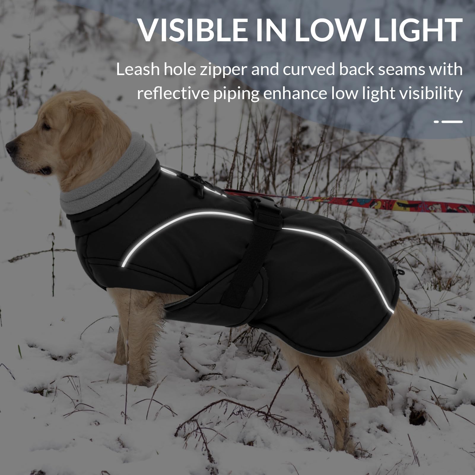 Queenmore chaqueta para uso exterior, ideal para actividades al aire libre.