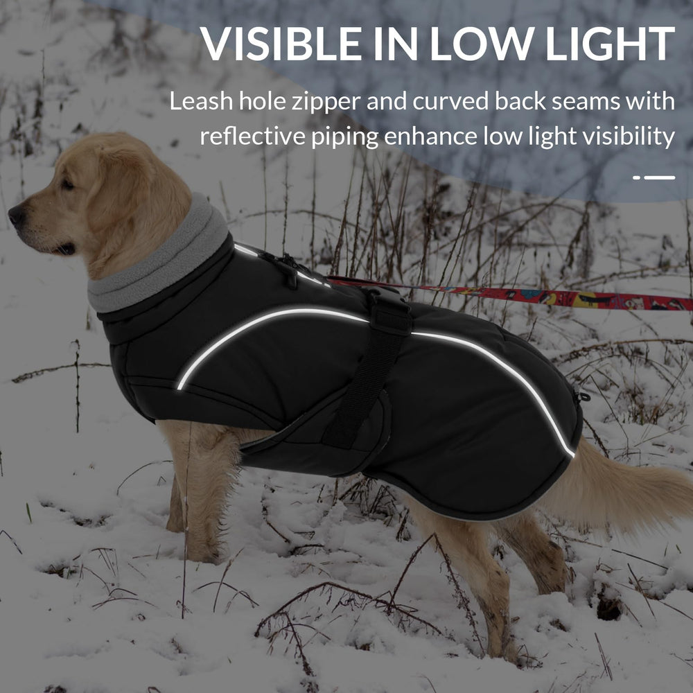 Queenmore chaqueta para uso exterior, ideal para actividades al aire libre.