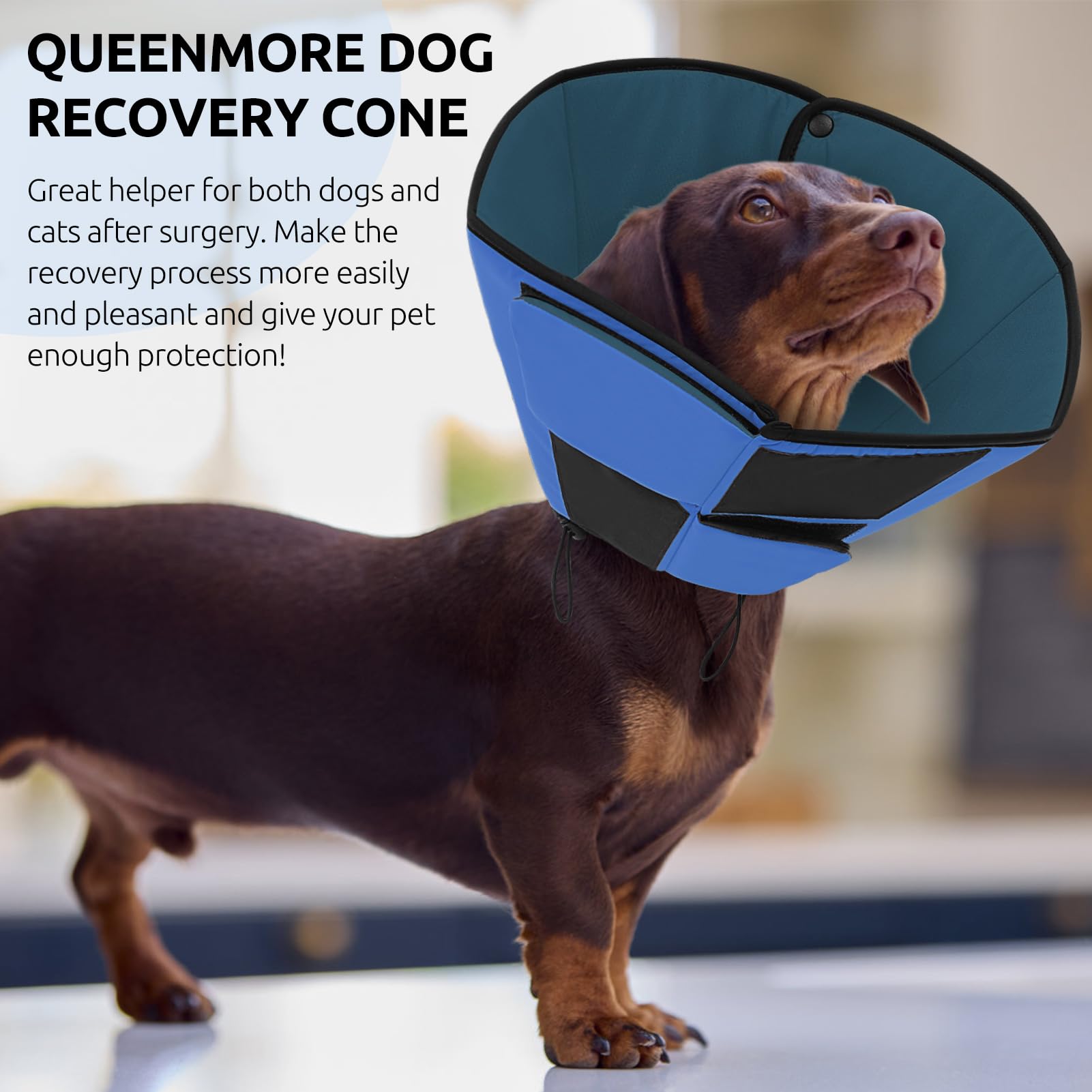 Cono azul Queenmore en primer plano, protección suave para heridas