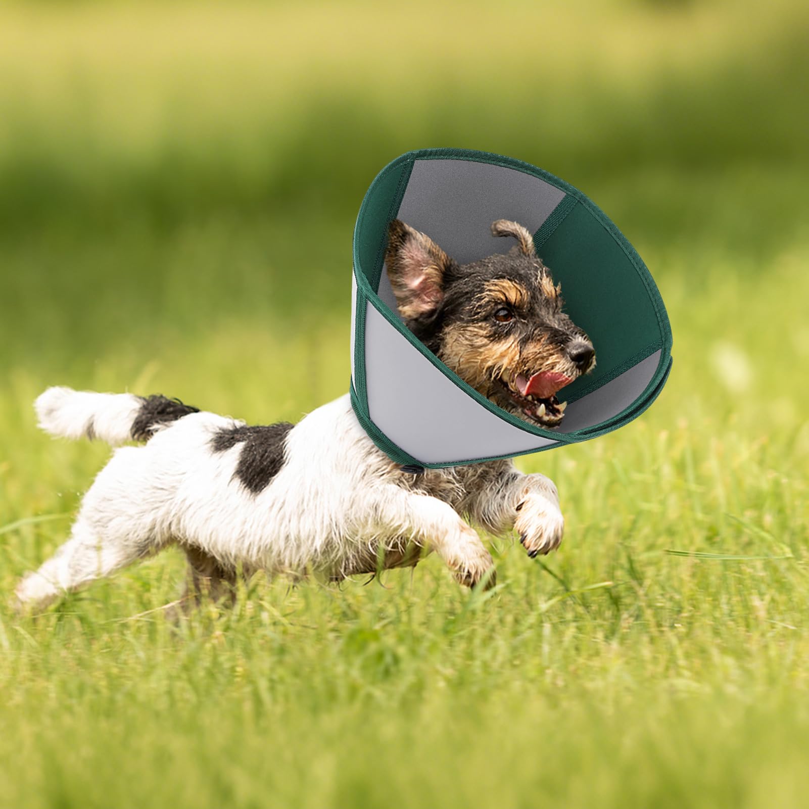 Cono Queenmore diseño duradero para uso diario en casa
