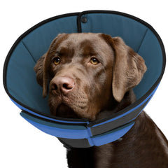 Queenmore cono para perro grande azul, protección suave para la recuperación
