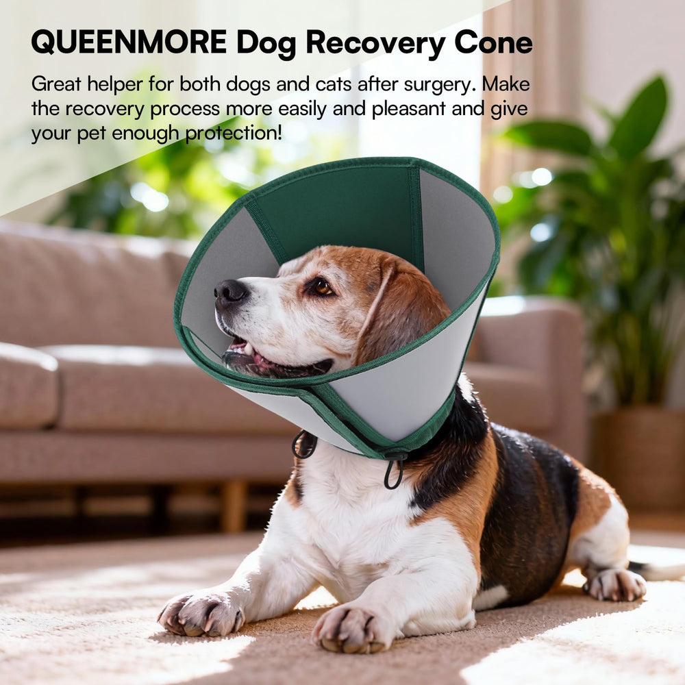 Cono Queenmore disponible en tallas para la mayoría de razas