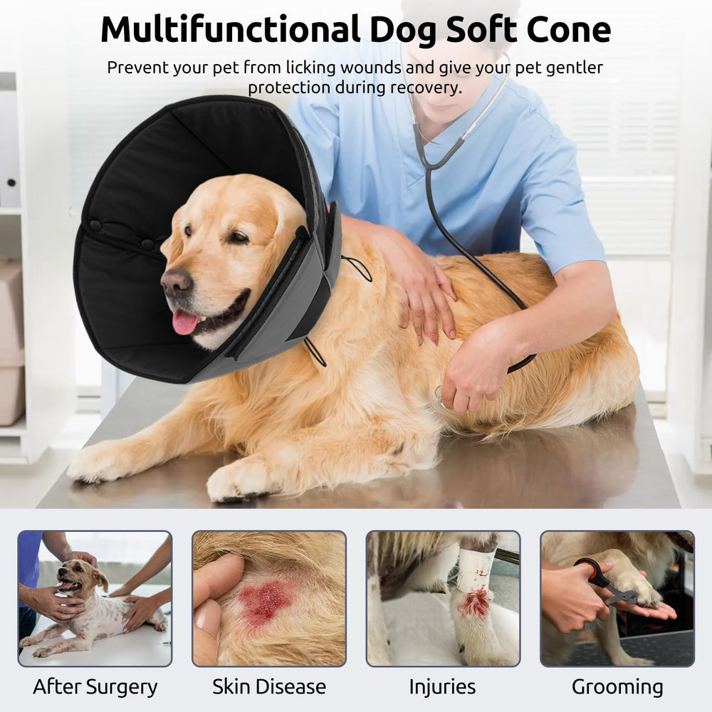Queenmore cono-perro-xl-proteccion-efectiva evita lamidos durante recuperación
