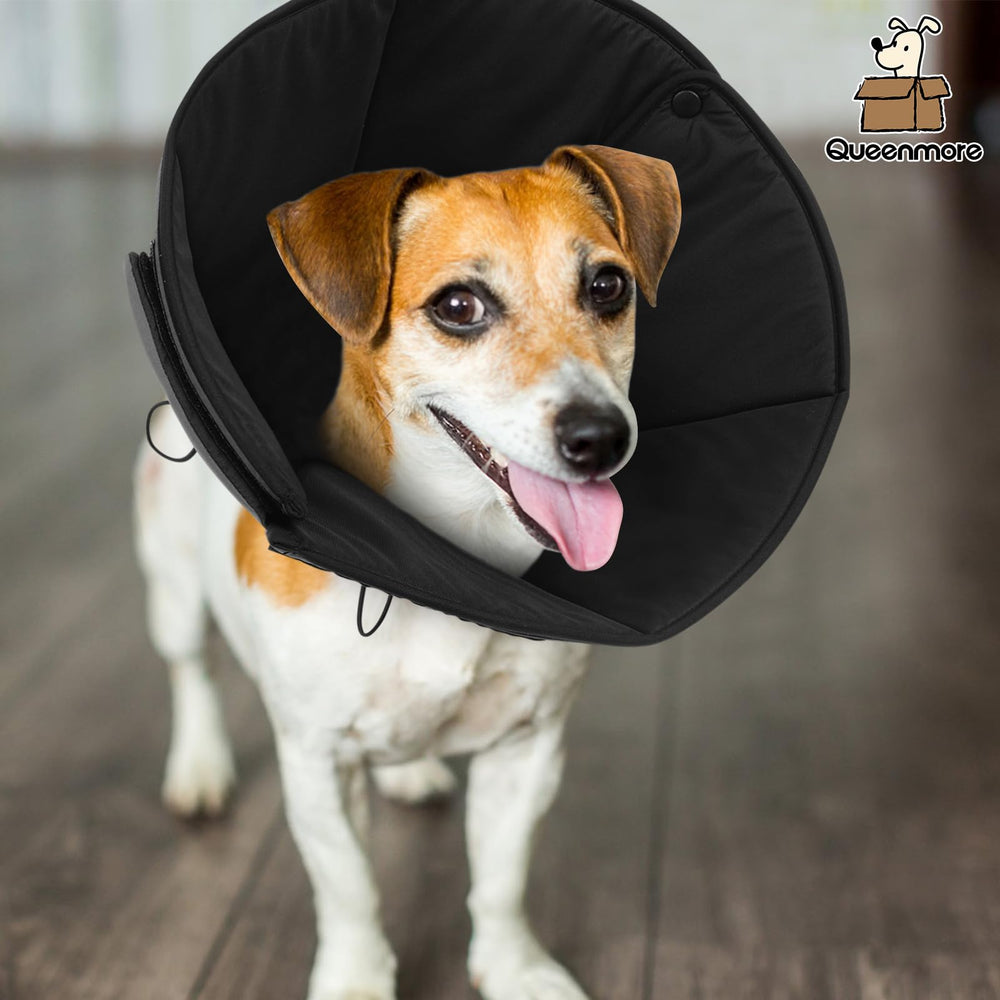 Queenmore cono-perro-xl-talla-xl muestra compatibilidad con razas grandes