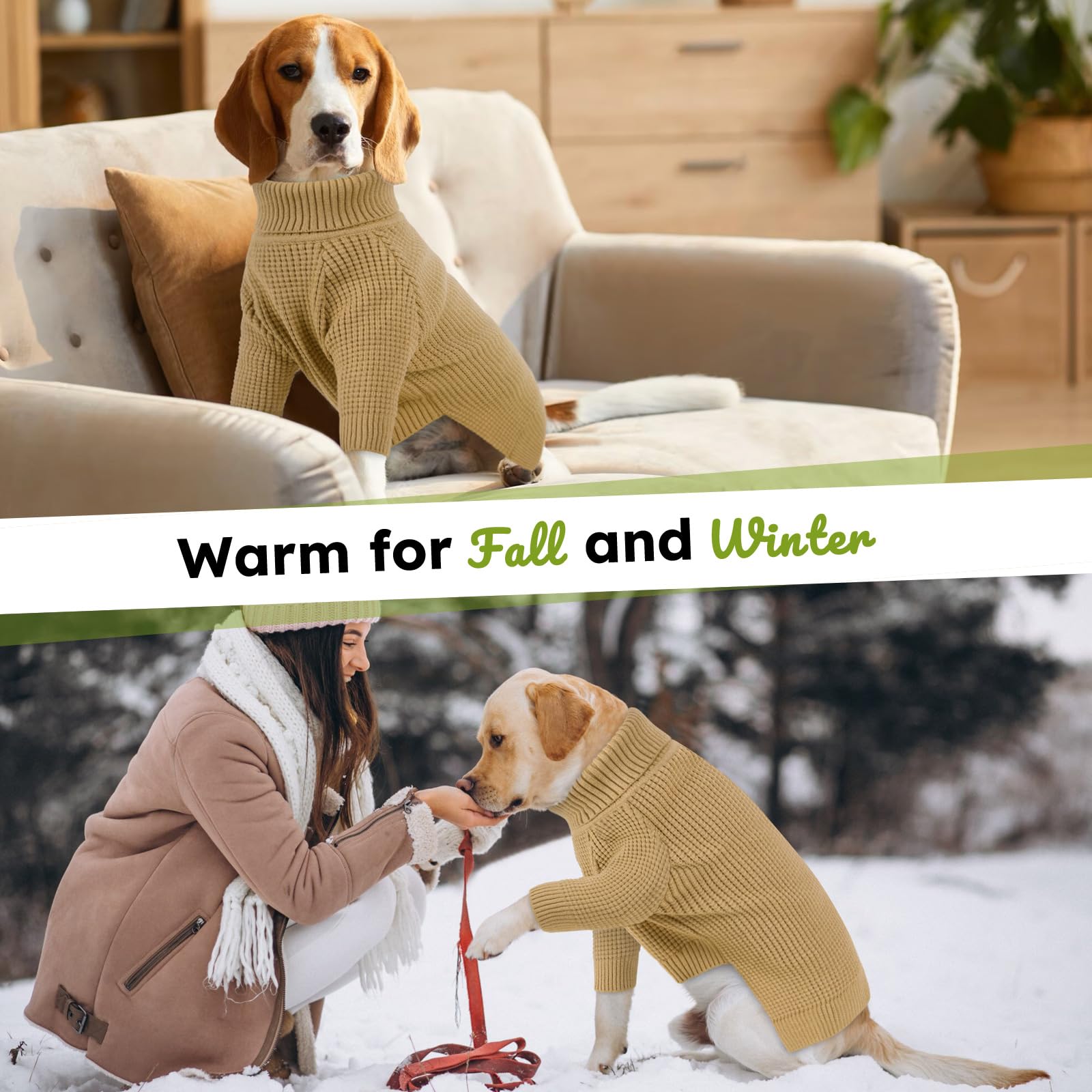 Queenmore sudadera cálida para perro, ideal para otoño e invierno.