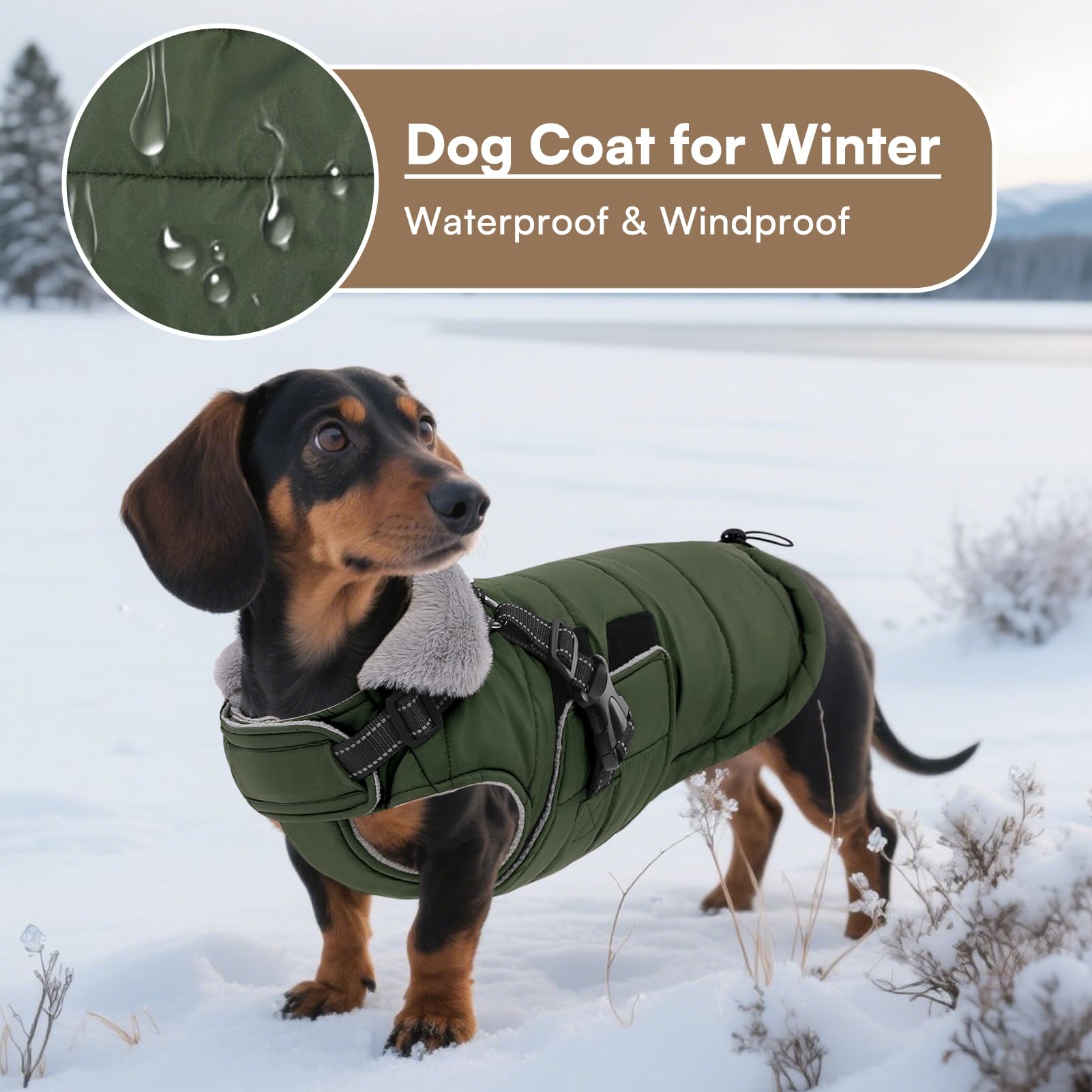 Queenmore tallas XS a XXXL para perros de razas grandes.