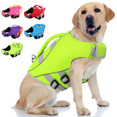 Queenmore XL chaleco salvavidas para perro, enfoque natacion, gran flotación
