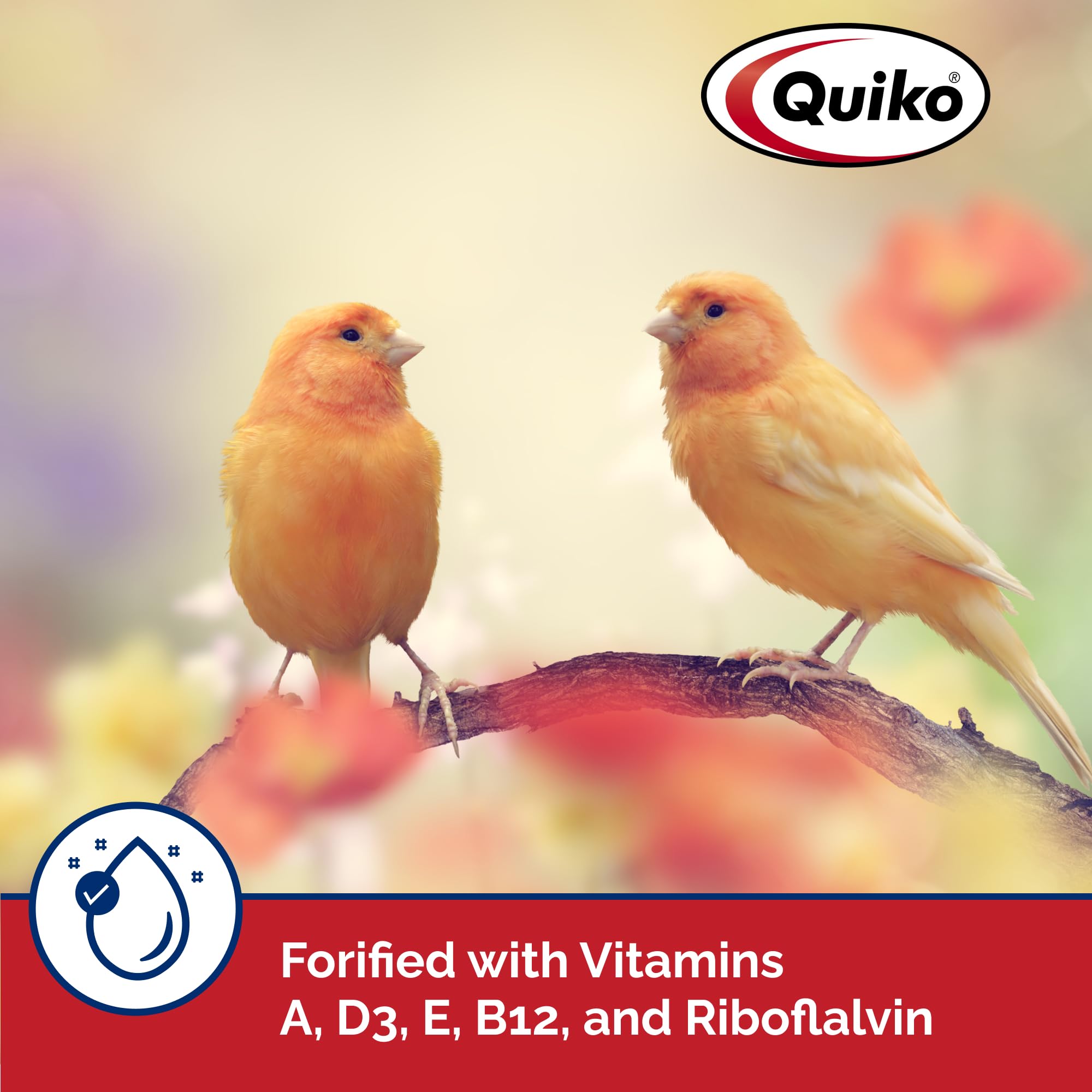 Quiko Vitaminas A D3 E B12 Riboflavina, fortalecen la salud general.