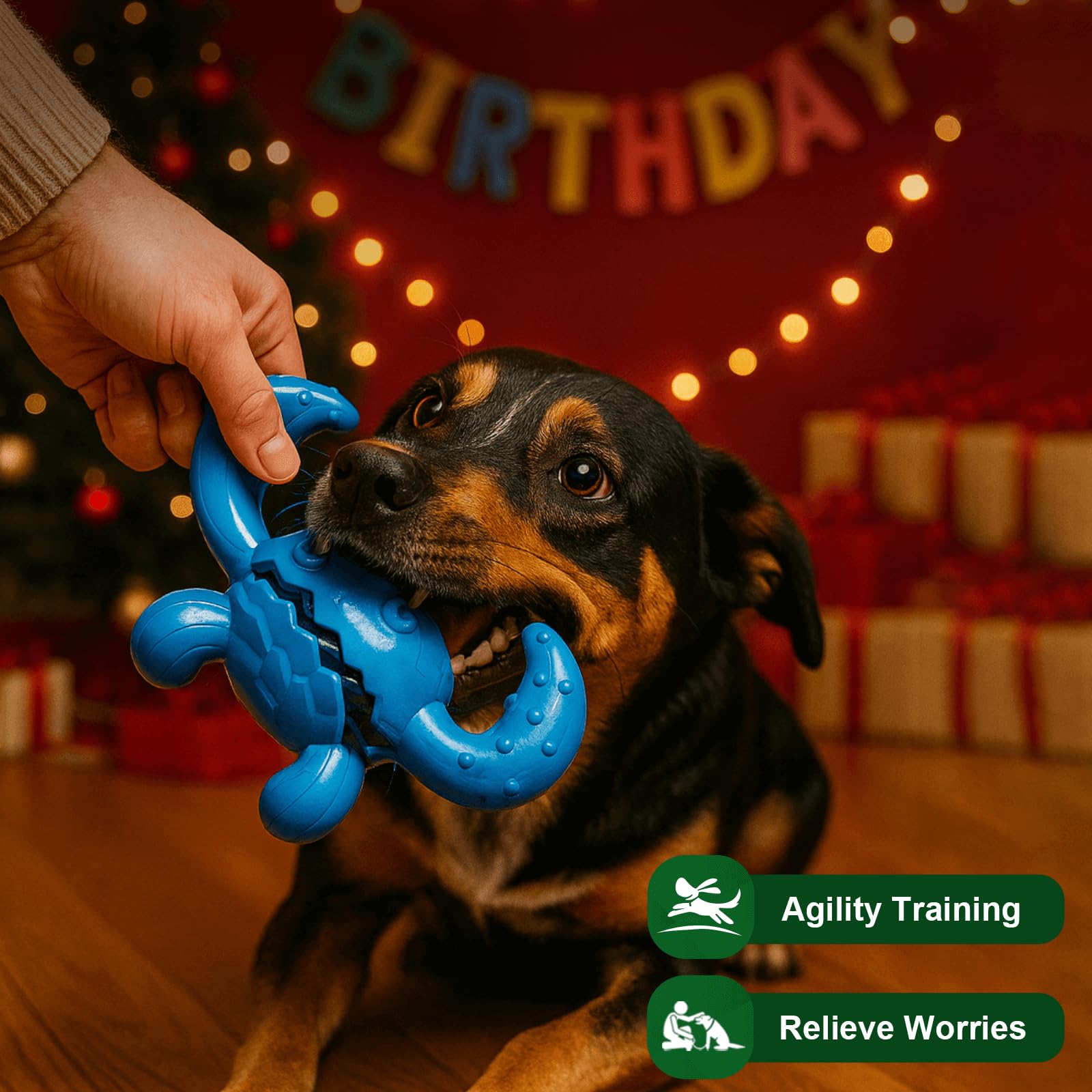 Quizvi juguete interactivo para perro, fomenta juego y estimulación