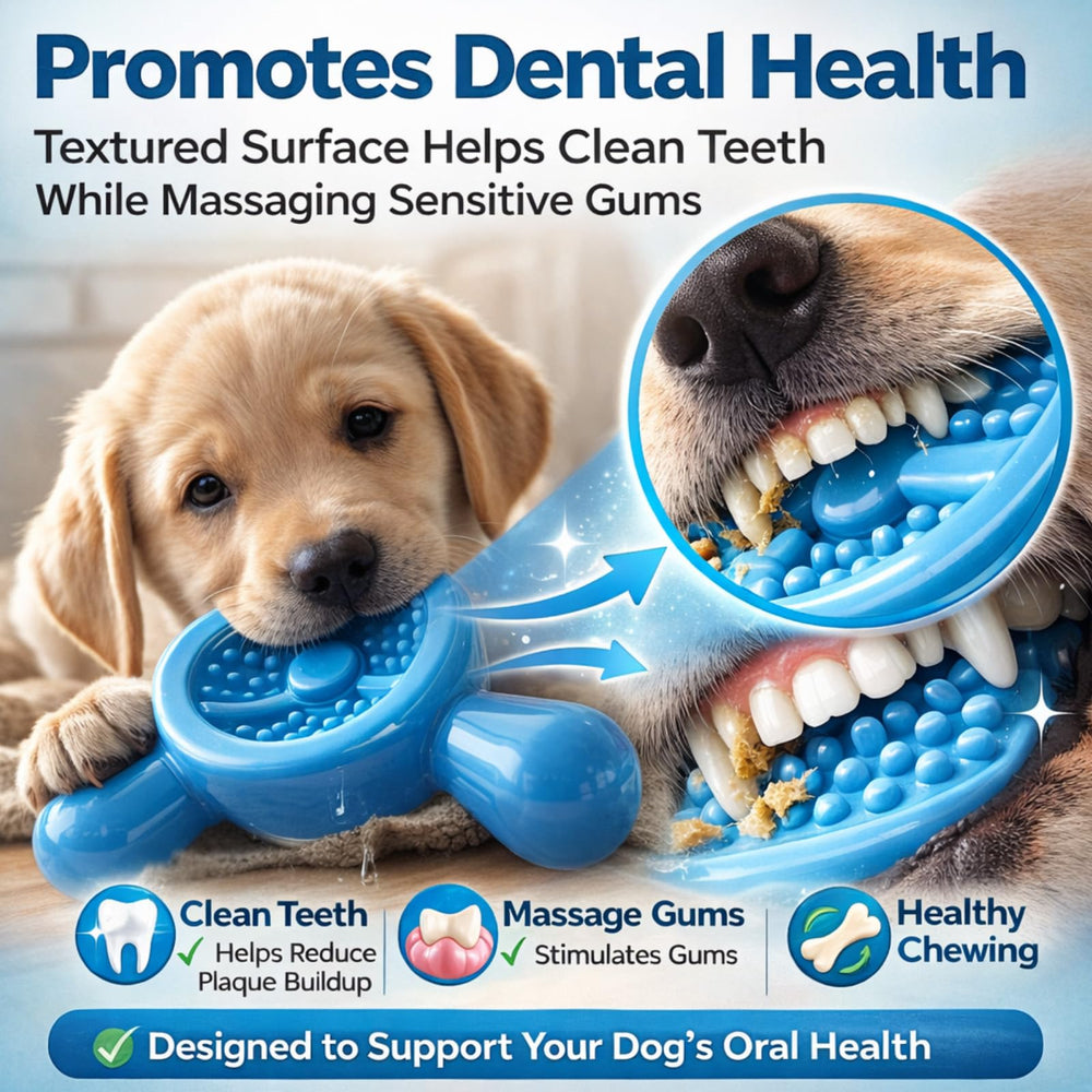 Quizvi juguete-dentadura-5-pulgadas apto para perros pequeños y medianos