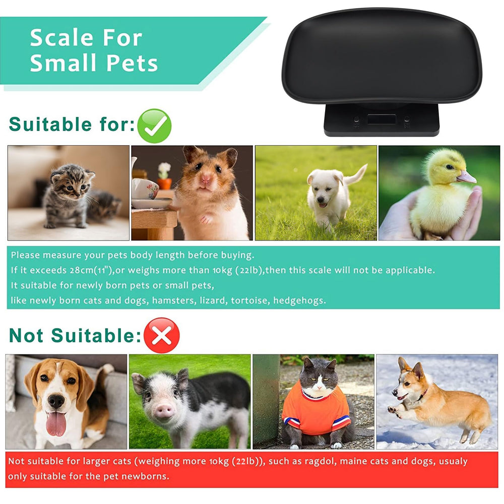 Uso fácil y configuración rápida de la balanza para mascotas Qulable.