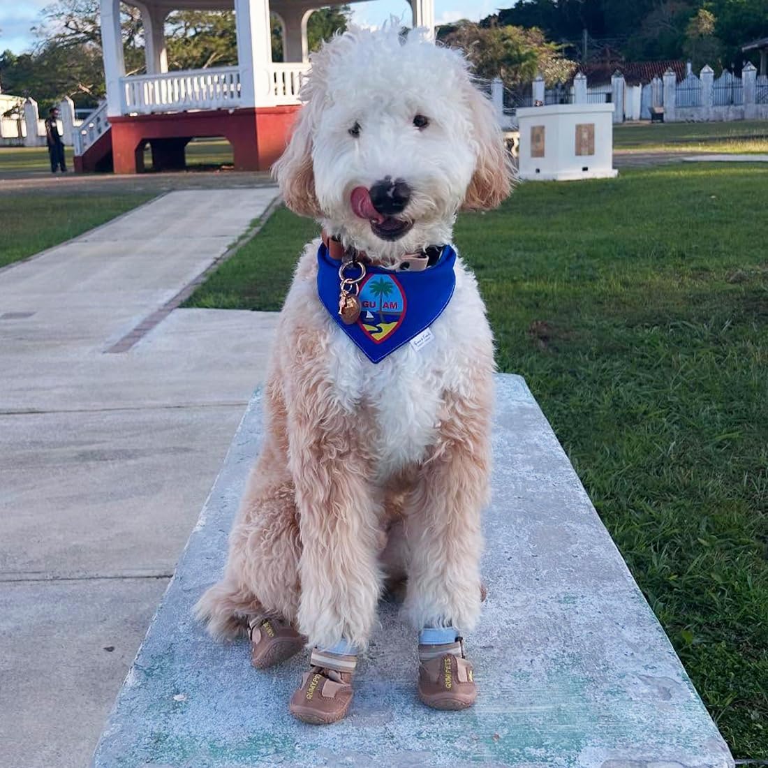 Diseño con bordado de patas de QUMY para estilo durante salidas.