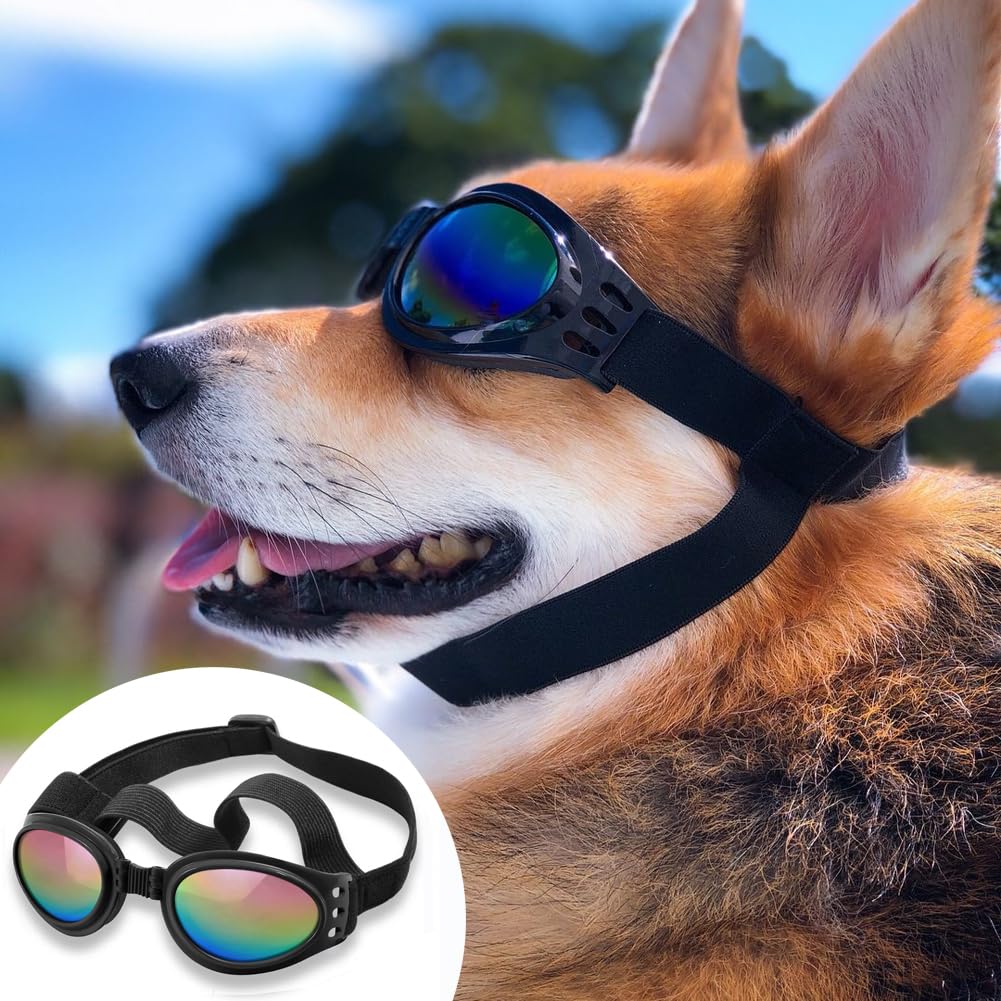 Gafas QUMY para perro, diseño ergonómico y correa ajustable