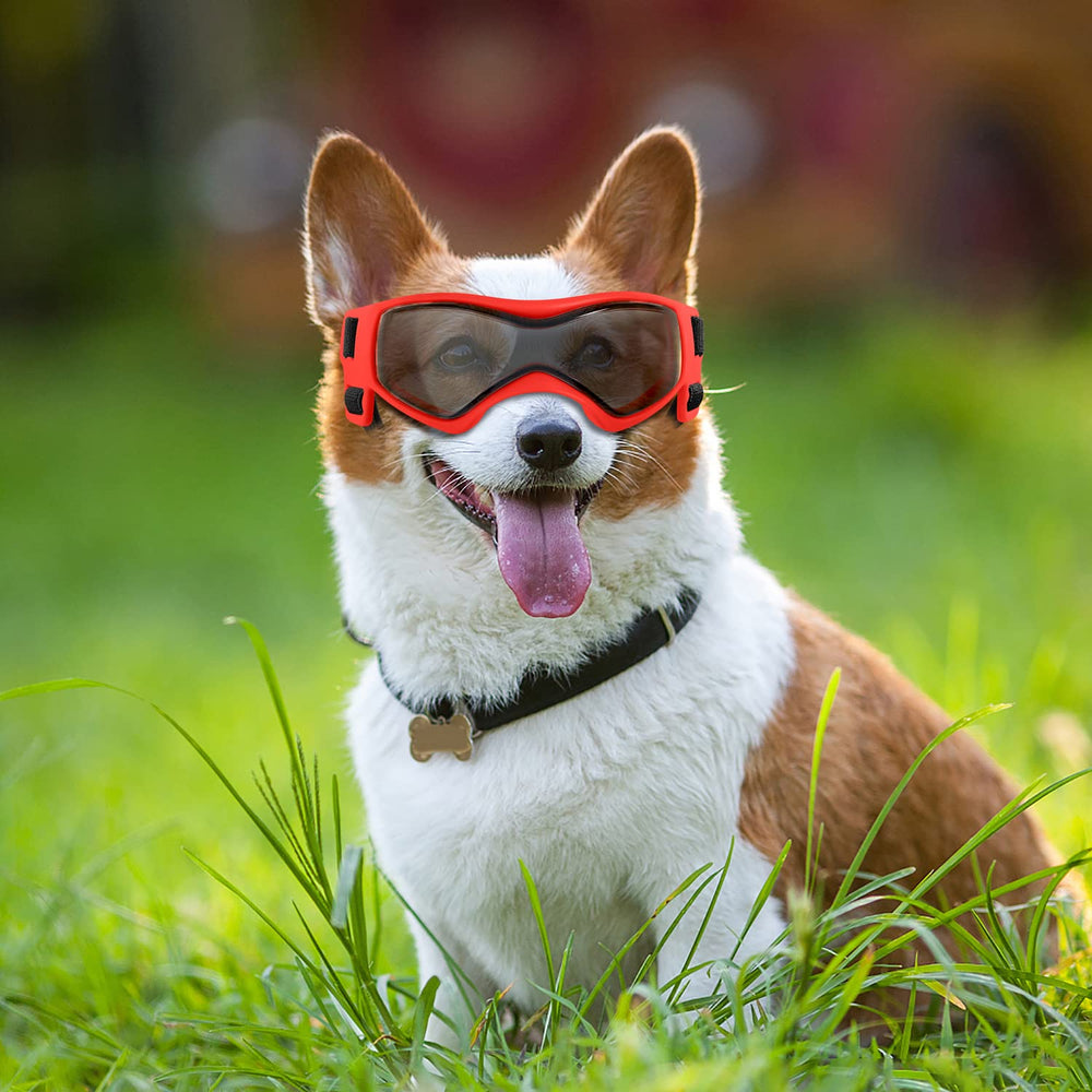 Gafas QUMY con estilo para exteriores, combina moda y protección.