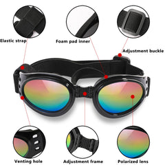 Gafas QUMY para perro con lentes irrompibles y protección UV