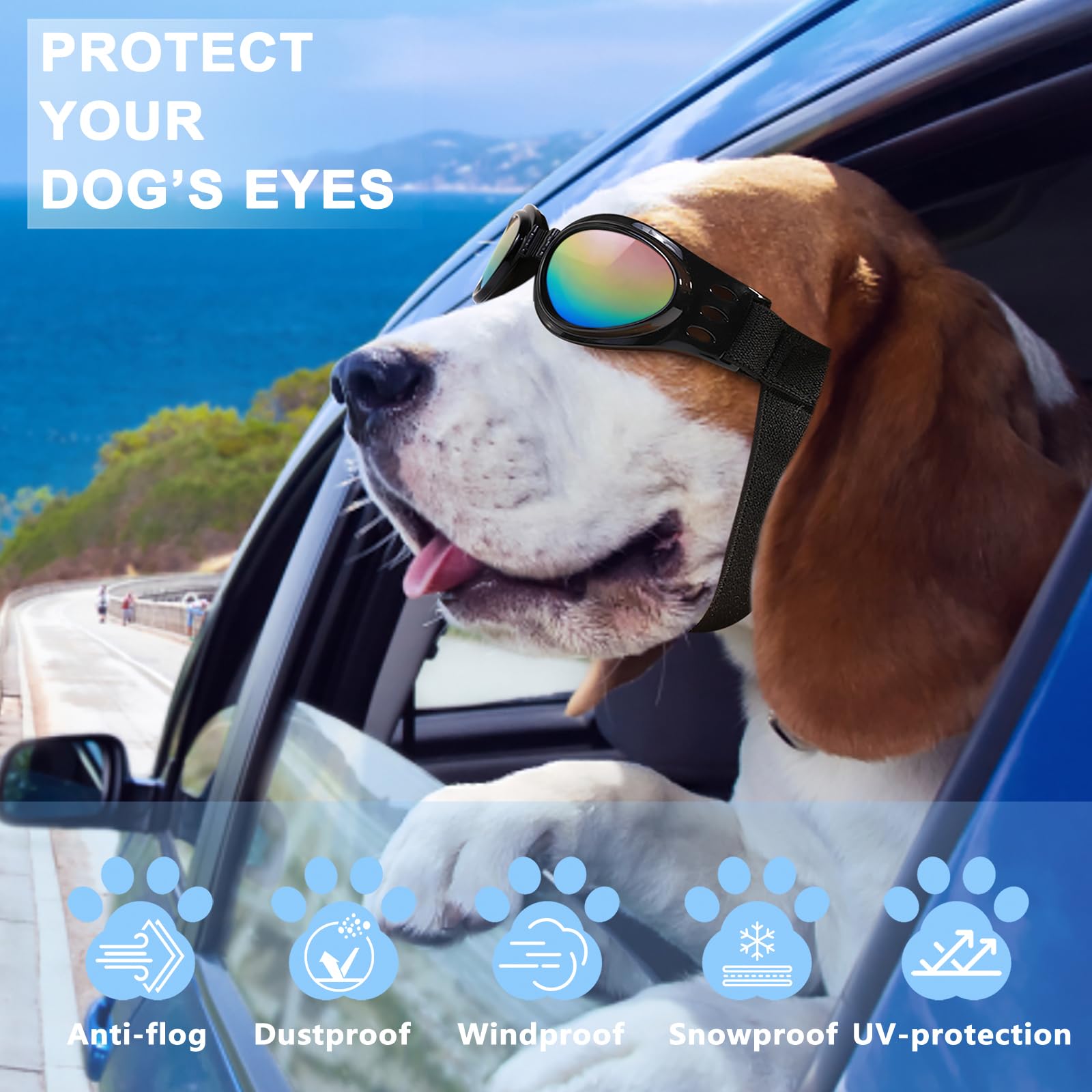 Gafas QUMY para perros protección contra lluvia y nieve