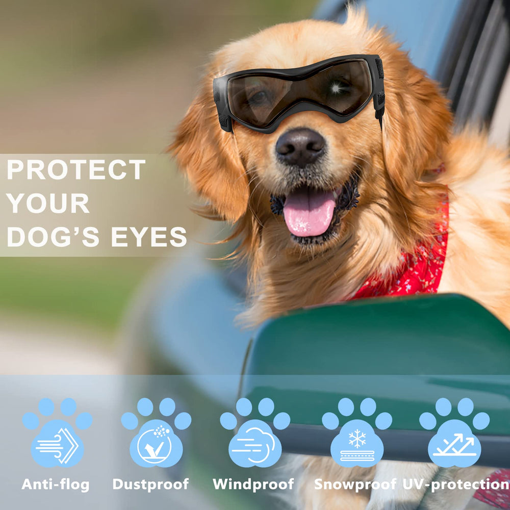 Gafas para perro QUMY con protección polvo y nieve para salidas al exterior