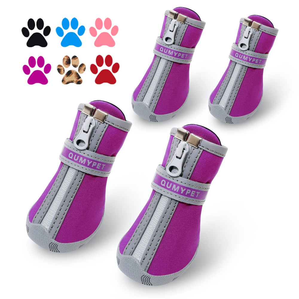 Zapatos QUMY para perro: patitas secas bajo la lluvia.