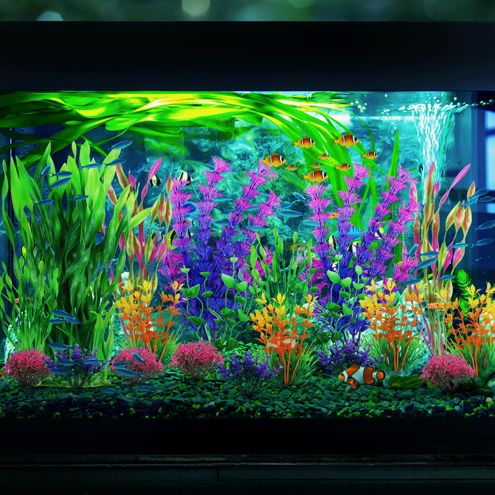 QUOZUO plantas de acuario, tamaños variados para distribución