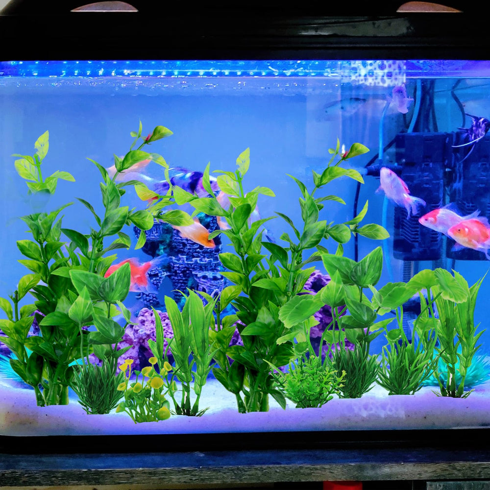 QUOZUO plantas de acuario suaves para uso en agua dulce y salada.