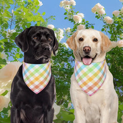 QUQULE bandana para perro, lavado fácil, lista para aventuras diarias.