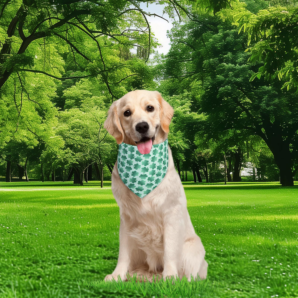 Bandana QUQULE para perro, perfecta para fiestas y sesiones de fotos.
