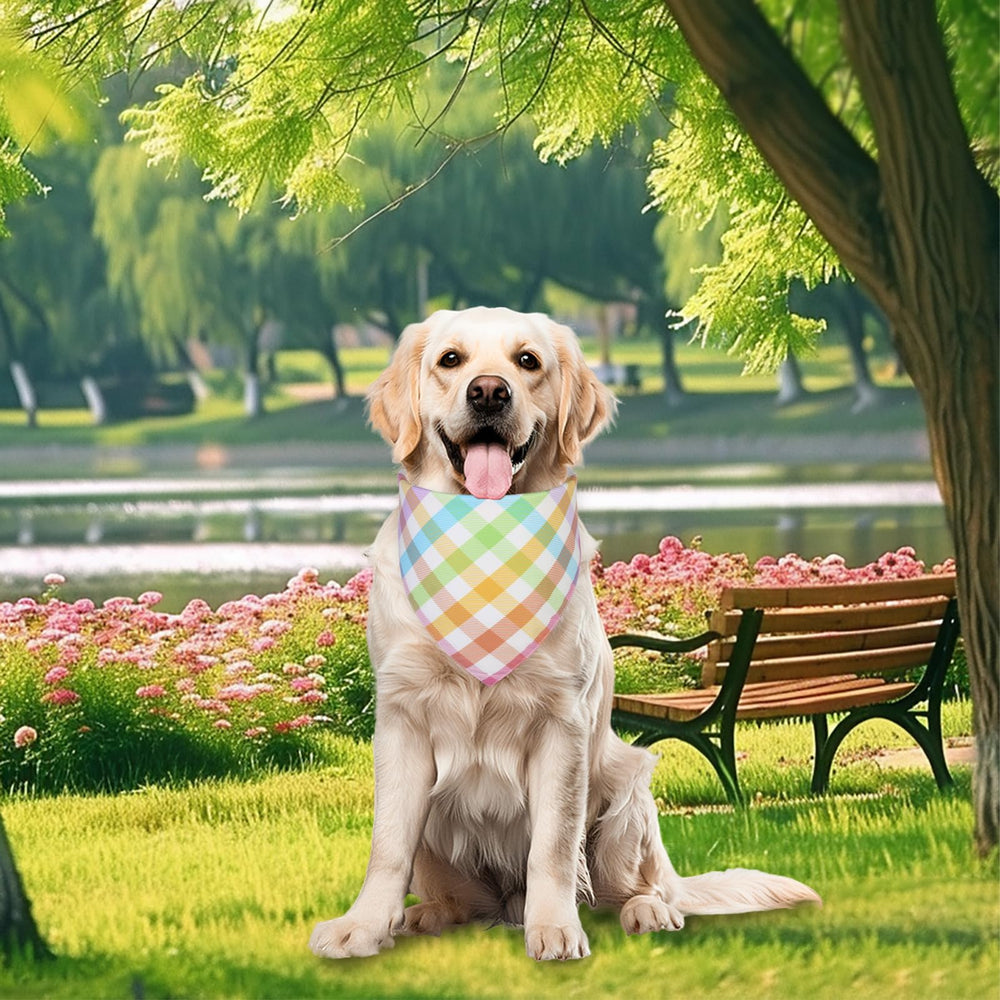 Bandana para fotos QUQULE, ideal para eventos y lucir adorable
