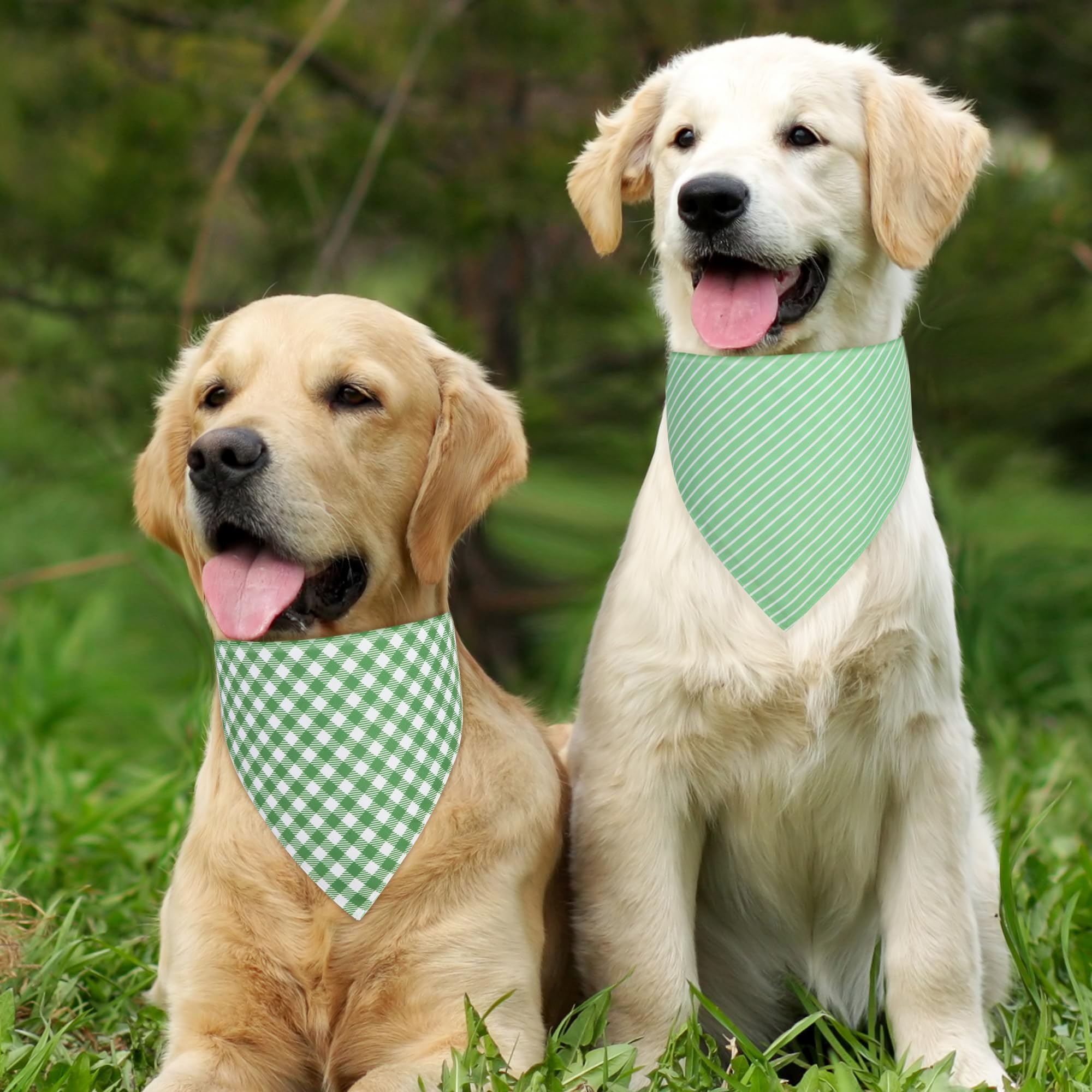 Bandana QUQULE verde grande, uso diario, lavado sencillo