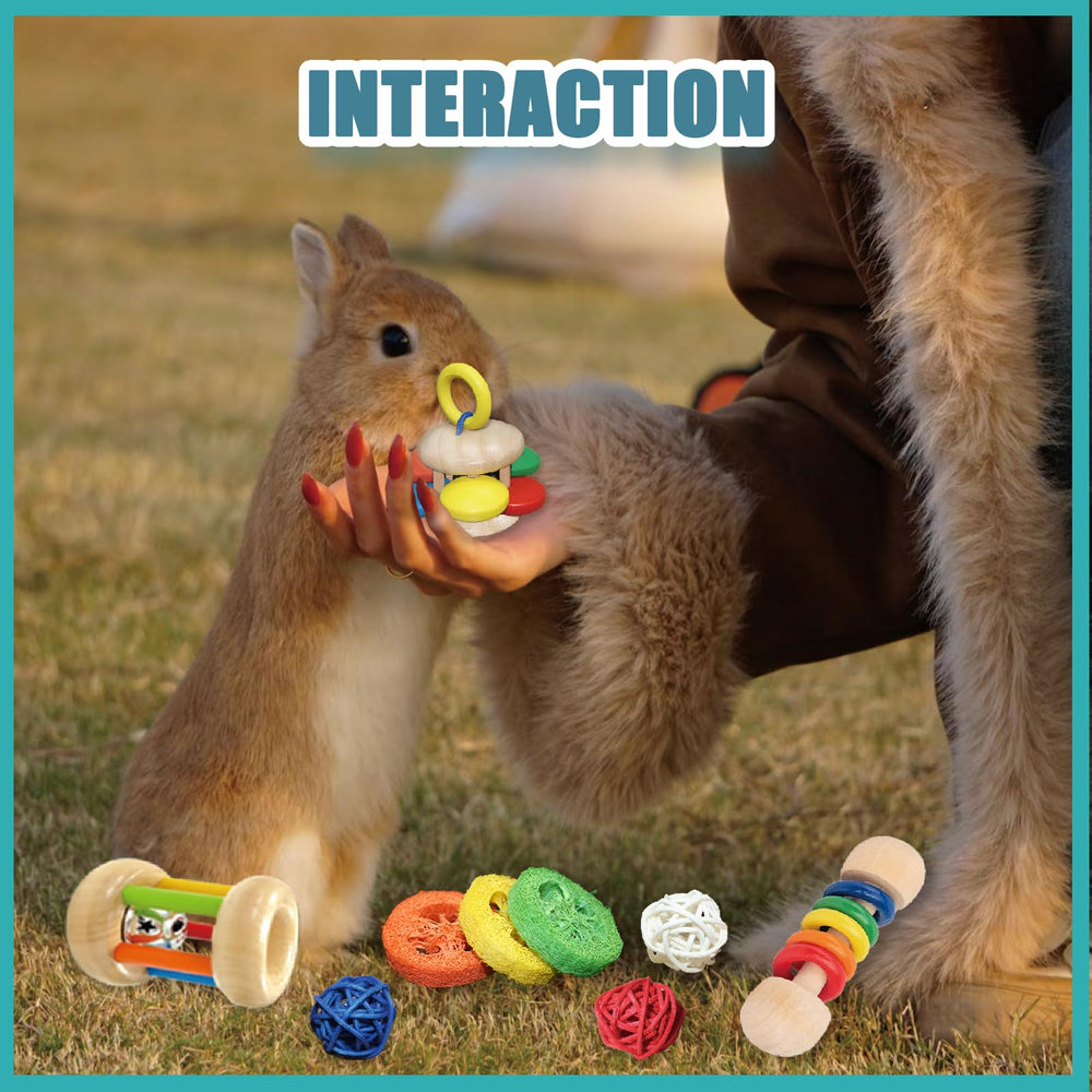 QWR: regalo ideal para mascotas pequeñas, entretenimiento seguro.